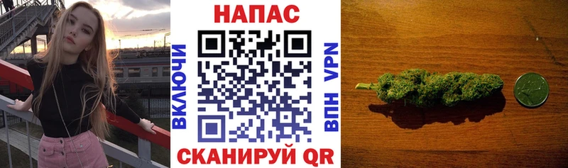МАРИХУАНА семена  где найти   Чусовой 